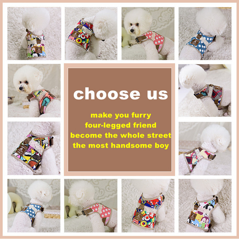 Set de lesă pentru ham pentru câini Kawaii, ham personalizat pentru animale de companie, vestă pentru animale de companie, reglabilă, respirabilă, pentru câini de talie mică, articole drăguțe, accesorii pentru animale de companie