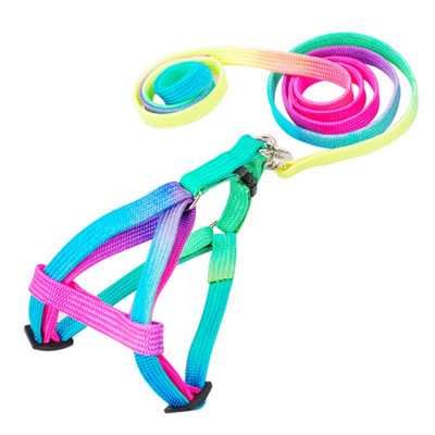 Tugev ja vastupidav nailonist reguleeritav kassi koera rakmete ja jalutusrihma komplekt kutsika värviliste rakmete plii komplekt