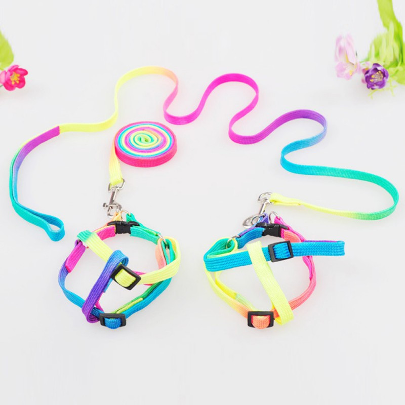 Tugev ja vastupidav nailonist reguleeritav kassi koera rakmete ja jalutusrihma komplekt kutsika värviliste rakmete plii komplekt
