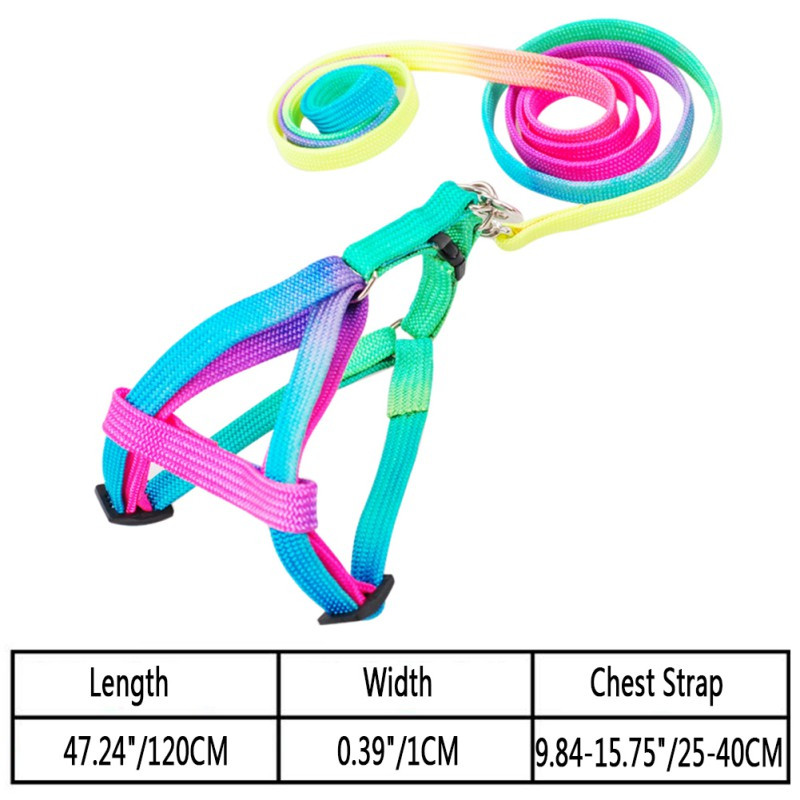 Tugev ja vastupidav nailonist reguleeritav kassi koera rakmete ja jalutusrihma komplekt kutsika värviliste rakmete plii komplekt