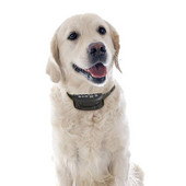 Cel mai nou câine de companie, reîncărcabil, zgarda anti-latrat, tren de control, rezistent la apă, oprirea lătratului, zgarda de dresaj cu ultrasunete, impermeabilă