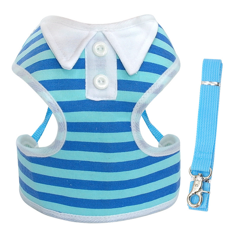 Hingavad koerarakmed Vest Reguleeritavad kutsikate rakmed ja jalutusrihma komplekt väikestele keskmistele koertele Nailonist lemmikloomade rinnarihm chihuahuale