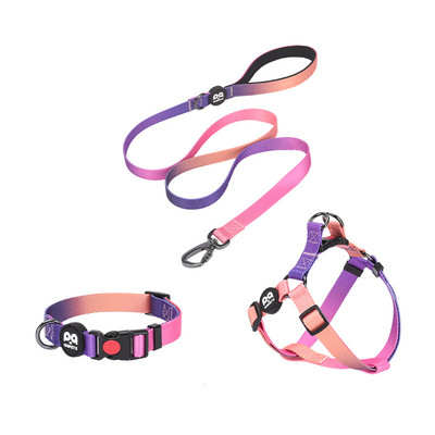 Ogrlica i povodac za pse u gradijentnoj boji, personalizirani luksuzni dizajnerski pojas za pse za srednje velike pse i povodac