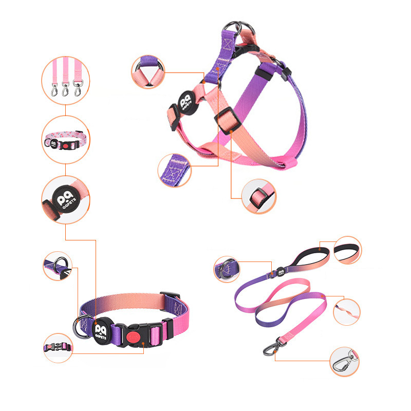 Ogrlica i povodac za pse u gradijentnoj boji, personalizirani luksuzni dizajnerski pojas za pse za srednje velike pse i povodac