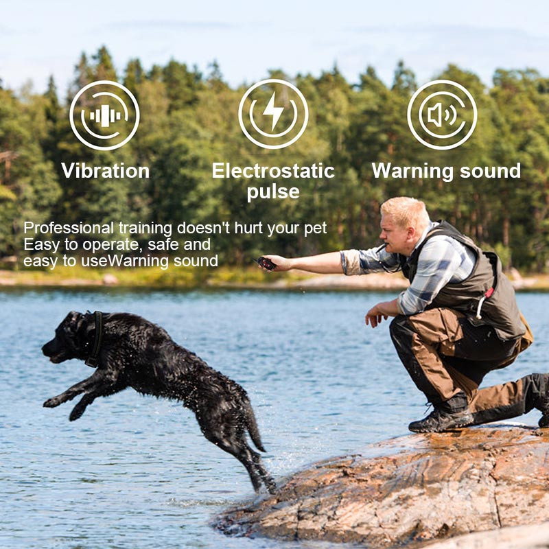 600m de control de la distanță pentru antrenament pentru câine, guler de câine, control de la distanță, pentru antrenament, reîncărcabil, pentru a opri latratul de câine