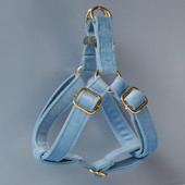 Εξατομικευμένη λιανική πώλησης αυτοσχεδιασμού λουρί για σκύλους για μικρά μεσαία μεγάλα σκυλιά Pitbull Pug French Bulldog Flannelette 15