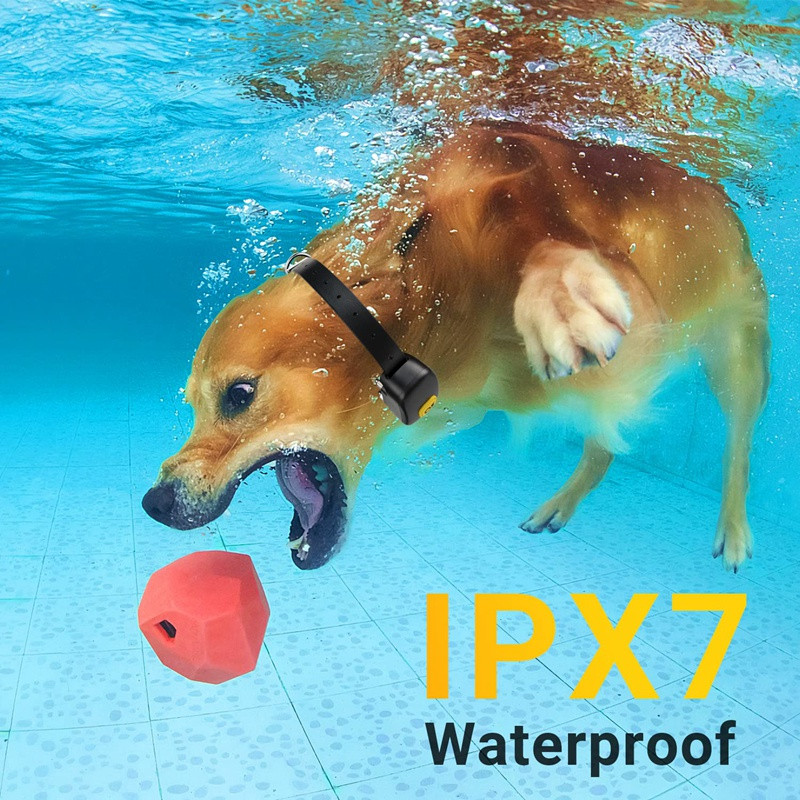 Zgarda de șoc pentru câini Zgarda de dresaj pentru câini, impermeabilă, cu telecomandă reîncărcabilă, rază de control de 1200 de metri, pentru câini mici/medii/mari