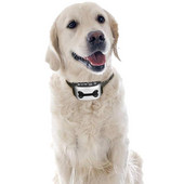 Intelligentne ultraheli veekindel koerte haukumise tõkesti lemmikloomatooted Veekindlad automaatsed humaanse haukumise vastane kaelarihm, et peatada koera haukumine