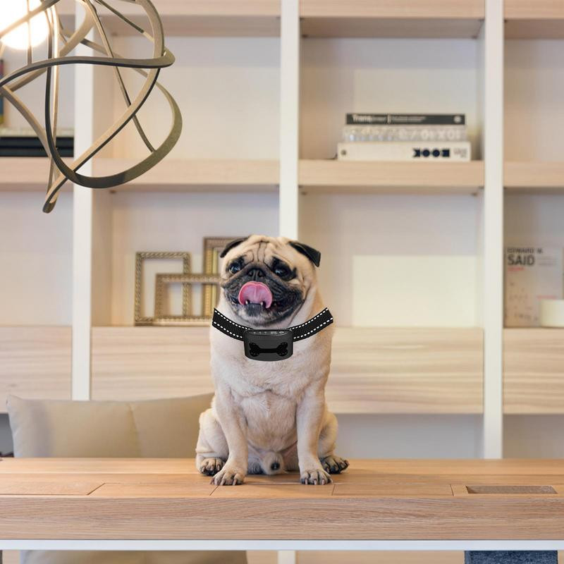 Intelligentne ultraheli veekindel koerte haukumise tõkesti lemmikloomatooted Veekindlad automaatsed humaanse haukumise vastane kaelarihm, et peatada koera haukumine