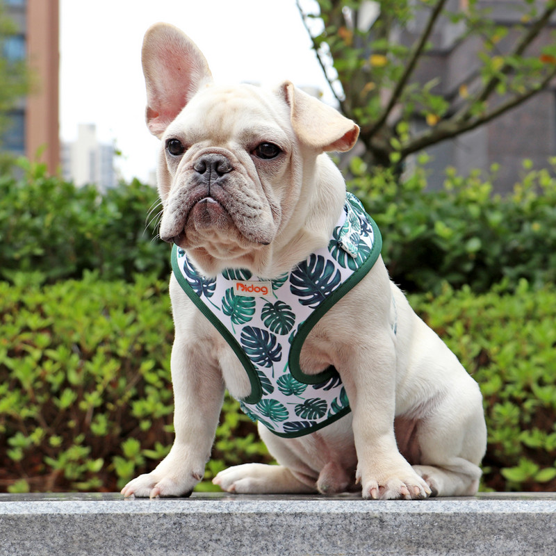 Võrgusilmast nailonist koerarakmed armsad trükitud kutsikarakmed, vest pehmed hingavad lemmikloomavestid, reguleeritavad väikestele keskmistele suurtele koertele, mopsile