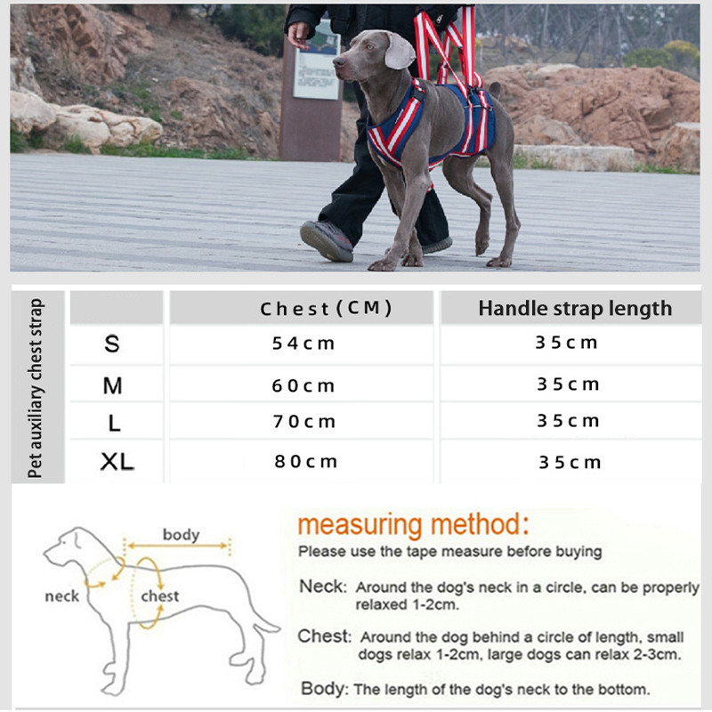 Vidutiniams ir dideliems šunims Nailono naminių šunų traukiamo diržo diržas neįgaliems šunims krūtinės diržas senyvo amžiaus šunims pagalbiniai diržo atkūrimo reikmenys