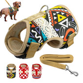 Jachete Adjustbale pentru câini, haine, vestă căptușită, pisică, pisicuță, ham și lesă, pentru mers, dovadă de evadare, pentru câini de talie mică