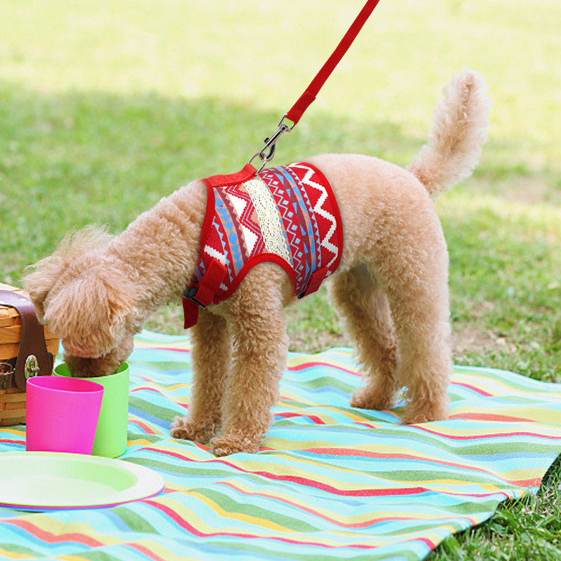 Jachete Adjustbale pentru câini, haine, vestă căptușită, pisică, pisicuță, ham și lesă, pentru mers, dovadă de evadare, pentru câini de talie mică