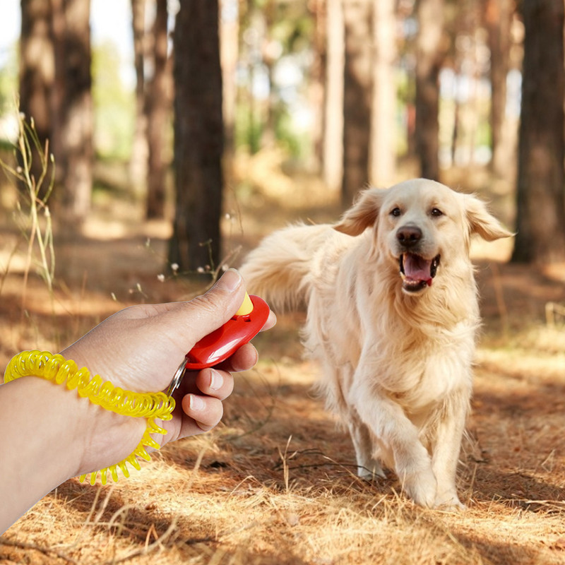 1 PC kaasaskantav koolitusjuhend Klõpsutaja koeratarvikud Viletreener Õrn nupuklõpsutaja Lemmikloomad Koer Kass Lemmikloomade klõpsutaja