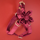 Gulerele personalizate de identificare pentru cățeluși LOGO gravat gratuit pentru câini mici, mijlocii mari, cocker spaniel american Flaneletă 07