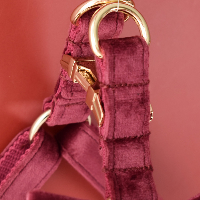 Gulerele personalizate de identificare pentru cățeluși LOGO gravat gratuit pentru câini mici, mijlocii mari, cocker spaniel american Flaneletă 07