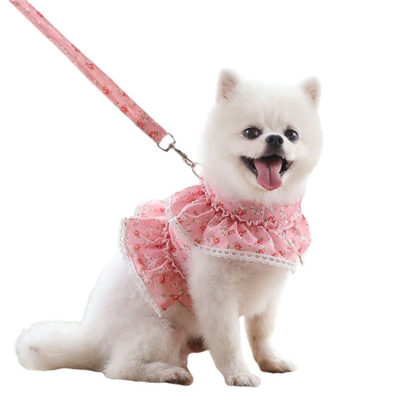 Harnaș pentru câini de talie mică Vestă Pisică Cățeluș Lesă pentru câine Plumb Yorkshire Yorkies Shih Tzu Caniche Maltez Bichon Costum pentru câini Curea pentru piept pentru animale de companie