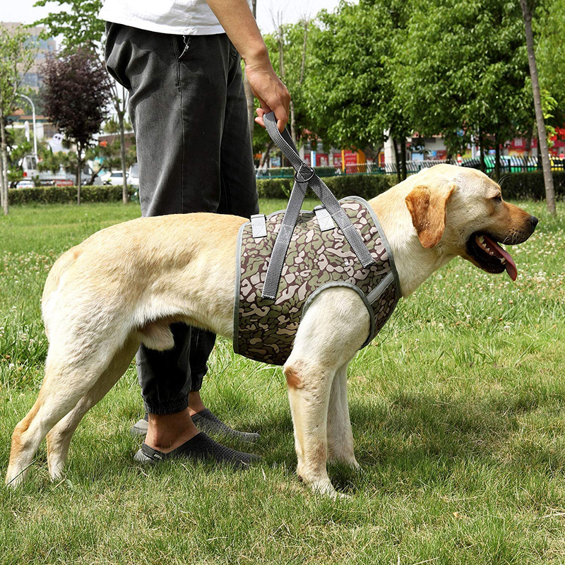 Benepaw Durabil Lift Ham Ham pentru câini Fără tragere Elastic Nylon Mâner Suport Reflexiv Ajustabil Vesta pentru animale de companie Recuperare picioare rănite din spate