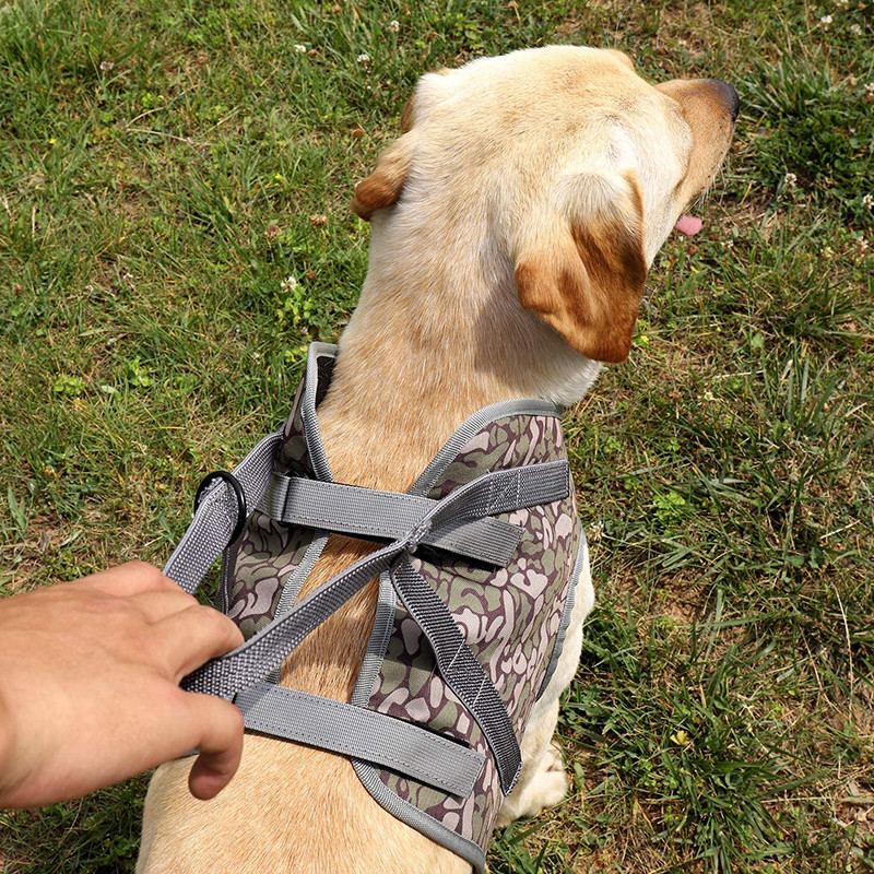 Benepaw Durabil Lift Ham Ham pentru câini Fără tragere Elastic Nylon Mâner Suport Reflexiv Ajustabil Vesta pentru animale de companie Recuperare picioare rănite din spate