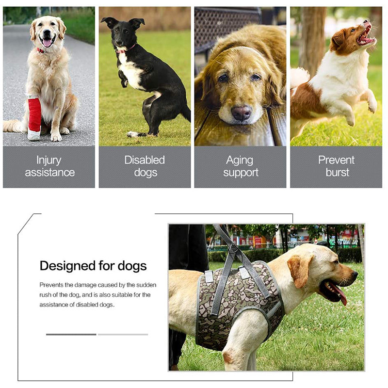 Benepaw Durabil Lift Ham Ham pentru câini Fără tragere Elastic Nylon Mâner Suport Reflexiv Ajustabil Vesta pentru animale de companie Recuperare picioare rănite din spate