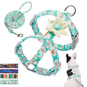 Ham pentru câini, fără tragere, din nailon, imprimat, ajustabil, pentru cățeluș, vestă, lesă de mers, plumb, pentru câini de talie mică, mijlocie, pisici, chihuahua, câini