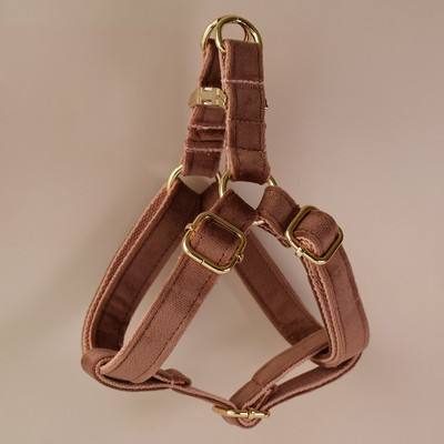 Curele de lesă pentru animale de companie Bandă de frânghie pentru Yorkshire Terrier mic, mediu, Mastiff Maltez Alaskan Malamute Golden Retriever Flanele 22