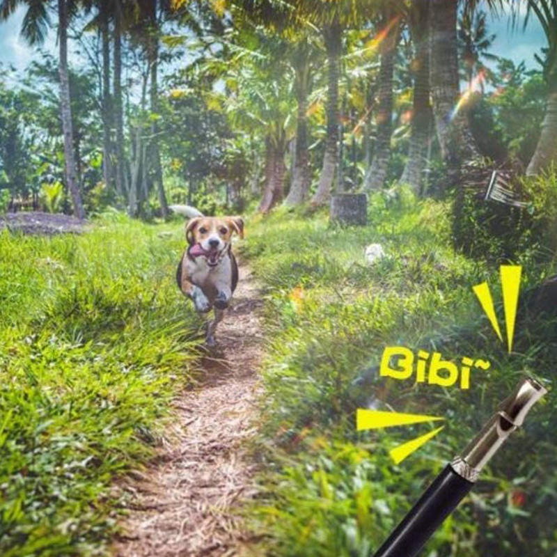 Ultrazvučna zviždaljka za dresuru pasa od 5 kom za prisjećanje i kontrolu lajanja, s remenom za vrpcu Profesionalne zviždaljke za pse