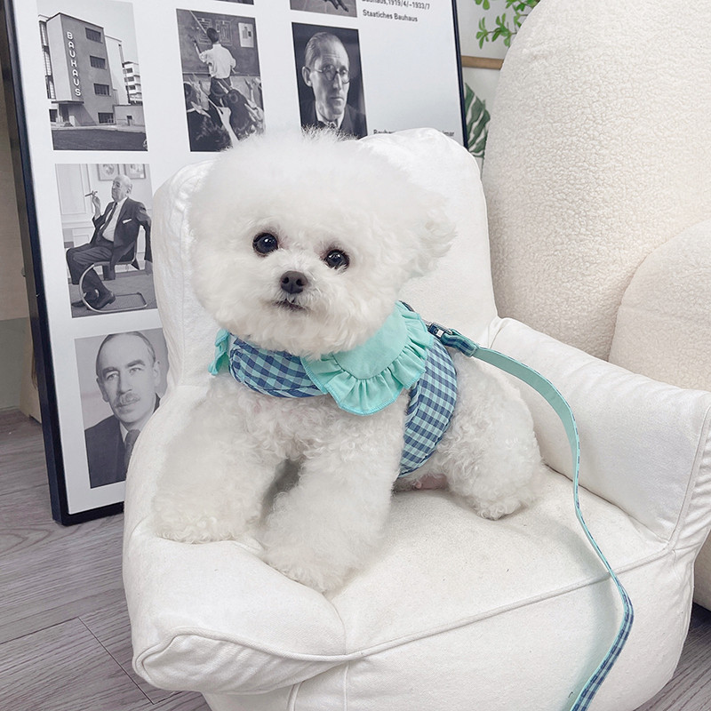 Set de ham și lesă pentru câini în carouri, pisici, accesorii drăguțe pentru plimbare pentru animale de companie, cu guler, vestă pentru cățeluș, haine pentru câini de talie mică, chihuahua