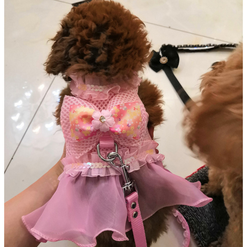 Čipkasta haljina za pse u japanskom stilu, pojas, mašna, luksuzna princeza, mrežasta povodac, povodac za kućne ljubimce, prsluk, prsluk za pse od slatkog kamena, povodac za hodanje.