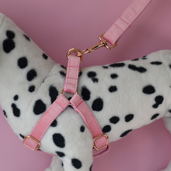 Προσαρμοσμένο κολάρο σκύλου με χαραγμένο Puppy Tag Leash Dog For Schnauzer Mountain dog Akitas The Boston Terrier Flannelette 01