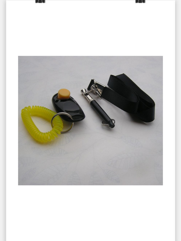 Vaikne ultraheli koera vilekomplekt, mis peatab haukumise, reguleeritava astmega koera treenimisvile paela ja klõpsuga