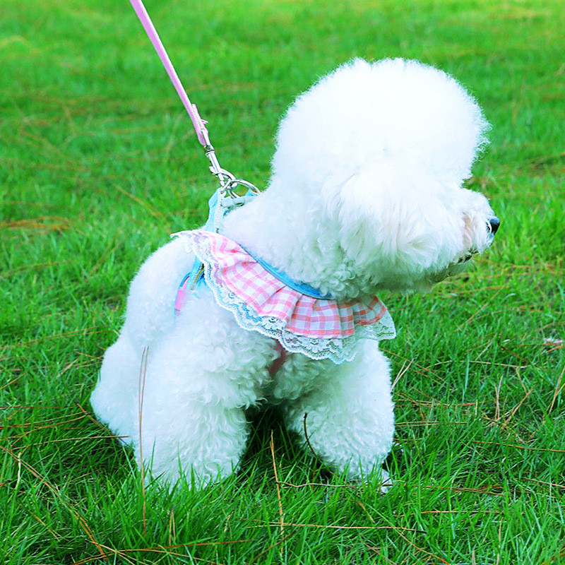 Lemmikloomakoera rakmete jalutusrihma komplekt rinnakorvi reguleeritav kutsikapleedi rakmed õues käimiseks mõeldud jooksuvestide rihmad väikestele keskmistele koertele