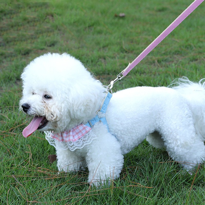Lemmikloomakoera rakmete jalutusrihma komplekt rinnakorvi reguleeritav kutsikapleedi rakmed õues käimiseks mõeldud jooksuvestide rihmad väikestele keskmistele koertele