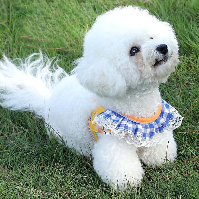 Lemmikloomakoera rakmete jalutusrihma komplekt rinnakorvi reguleeritav kutsikapleedi rakmed õues käimiseks mõeldud jooksuvestide rihmad väikestele keskmistele koertele