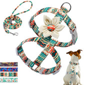 Σετ λουριών και λουριών από νάιλον λουλούδι για σκύλους Λουρί λουλουδιών λουλουδιών λουλουδιών λουλουδιών για κουτάβια λουλουδάτο λουρί για λουλούδια για μικρά σκυλιά Τσιουάουα