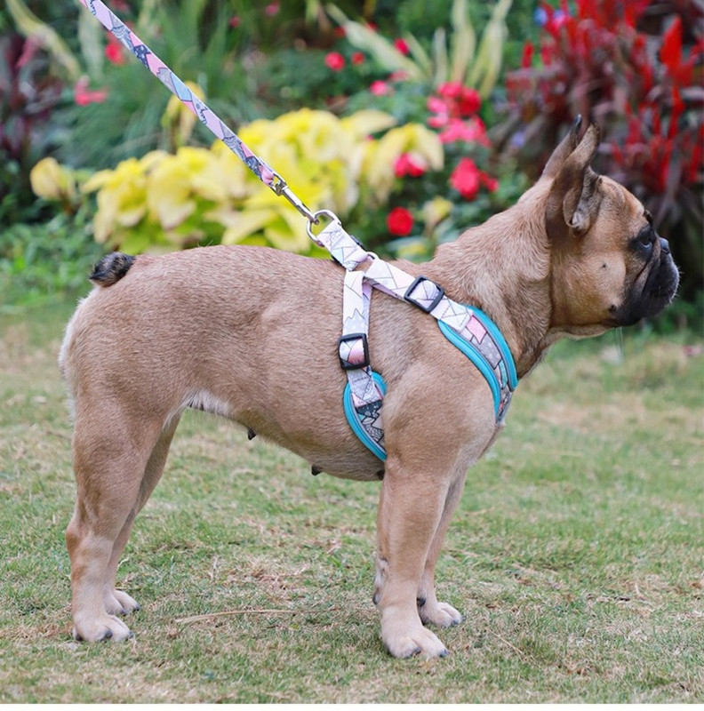 Χαριτωμένο εμπριμέ ρυθμιζόμενο λουρί Chihuahua Γαλλικό μπουλντόγκ κουτάβι γάτα λουρί για κατοικίδιο μικρό γιλέκο σκύλου για εκπαίδευση βαδίσματος Pug Yorkie