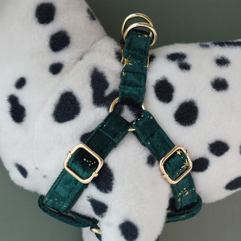 Green Harnes Personalized Puppy Dog Collars ID Δωρεάν χαραγμένο ΛΟΓΟΤΥΠΟ για μικρούς μεσαίους μεγάλους σκύλους American Cocker Spaniel Star 04