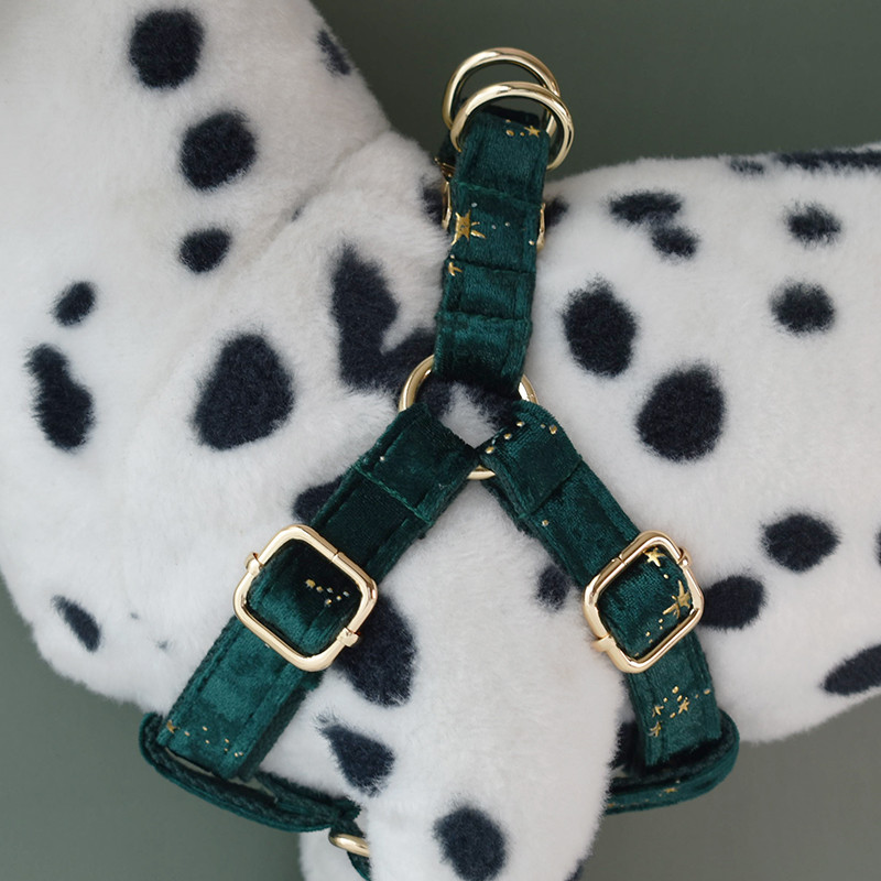 Green Harnes Personalized Puppy Dog Collars ID Δωρεάν χαραγμένο ΛΟΓΟΤΥΠΟ για μικρούς μεσαίους μεγάλους σκύλους American Cocker Spaniel Star 04