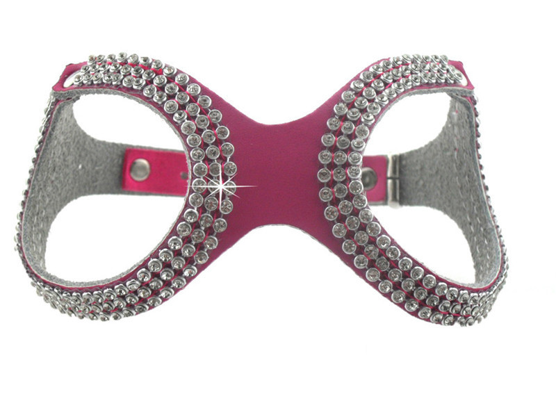 Produktai naminiams gyvūnėliams Naujas dizainas Natūralios karvės minkštos odos mados Bling Kalnų krištolinio akmens diržai šunims mažiems šunims Čihuahua Rose Juoda Žalia