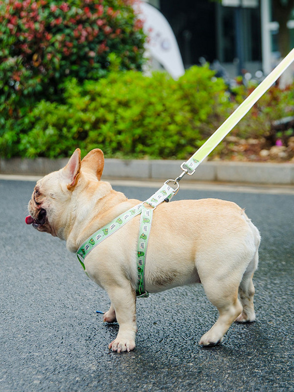 Set pojaseva za pse s dinosaurima. Prsluk s povodcem za pse sa slatkim crtićima Podesivi pojas za mačke s printom na platnu Povodci za pse Potrepštine za pse
