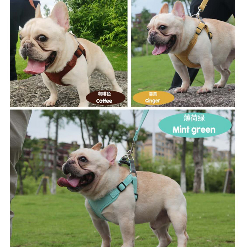 Oprsnica za pse od jelenje kože s uzicom Ljetni podesivi reflektirajući prsluk za kućne ljubimce Oprsnica za štene za hodanje za male srednje pse