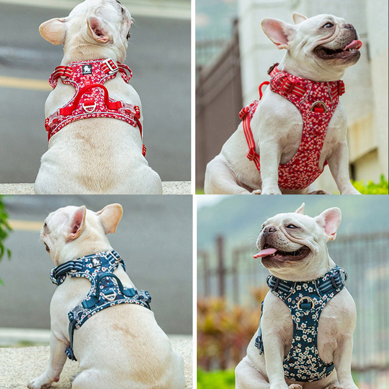 Truelove λουλουδάτο λουλούδι σκύλου με λαβή Βαμβακερό λουρί για κατοικίδια για μικρά μεσαία μεγάλα σκυλιά Γάτες Μαλακό βαμβακερό ανακλαστικό