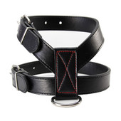 Vastupidav Pu Cat koerarakmete vest Must lemmikloomade rakmed kaelarihm Reguleeritav rinnarihm kassipoegade kutsikale väikestele keskmistele koertele tootekraami