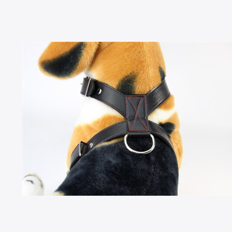 Vastupidav Pu Cat koerarakmete vest Must lemmikloomade rakmed kaelarihm Reguleeritav rinnarihm kassipoegade kutsikale väikestele keskmistele koertele tootekraami