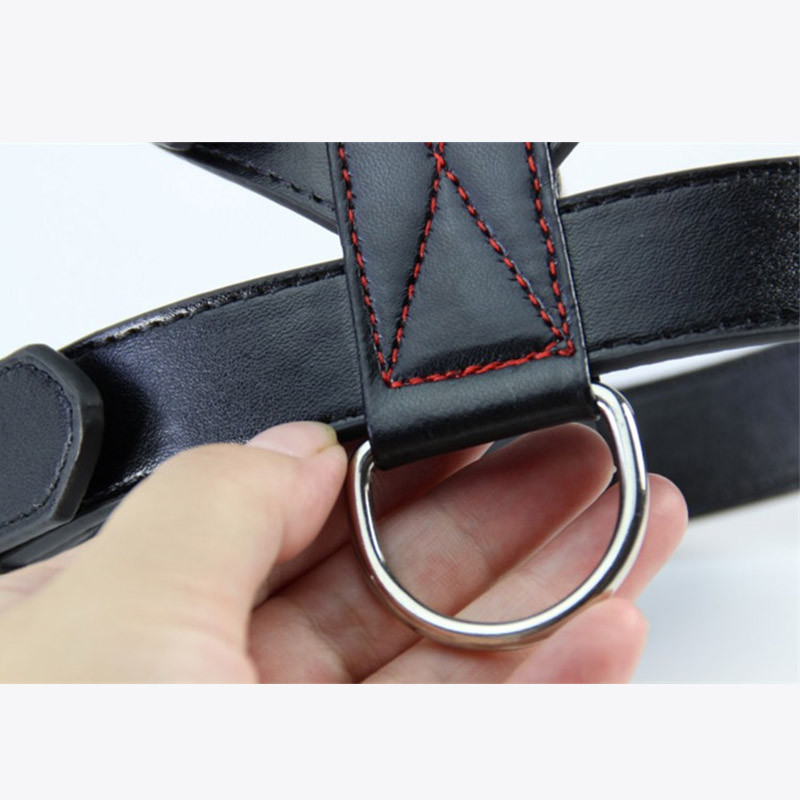 Vastupidav Pu Cat koerarakmete vest Must lemmikloomade rakmed kaelarihm Reguleeritav rinnarihm kassipoegade kutsikale väikestele keskmistele koertele tootekraami