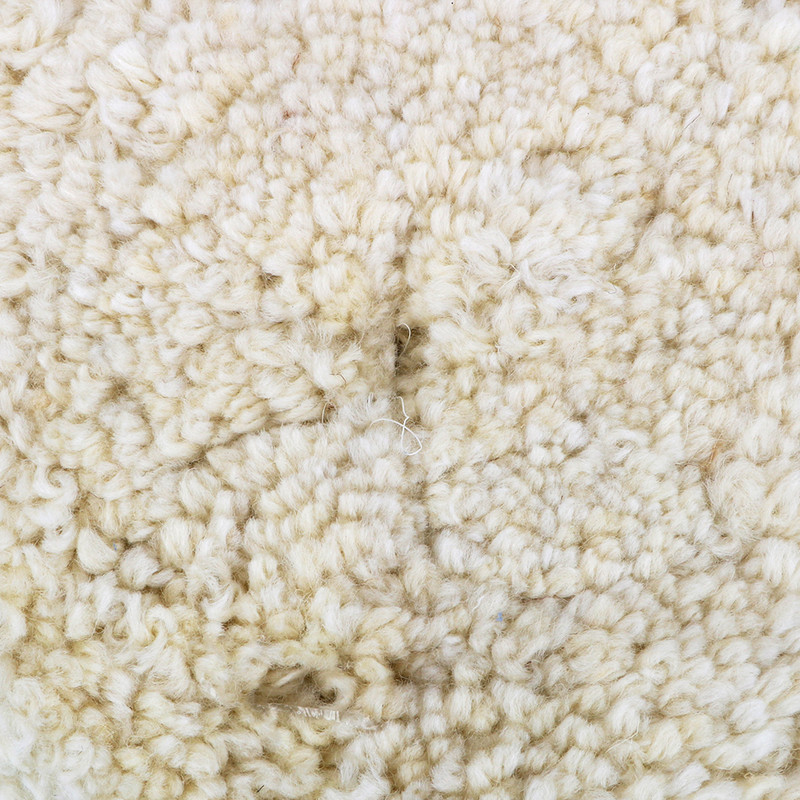 6-tolline autopoleerimismasin, villane poleerimisalus, auto detailipuhver, poleerimislapp, auto hooldus