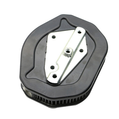 Pentru XL883 XL1200 X48 XL883N XL883L XL1200NS XL1200T XL1200CX XL1200X XL1200V XL1200C XL1200XS Element de filtru de aer pentru motociclete
