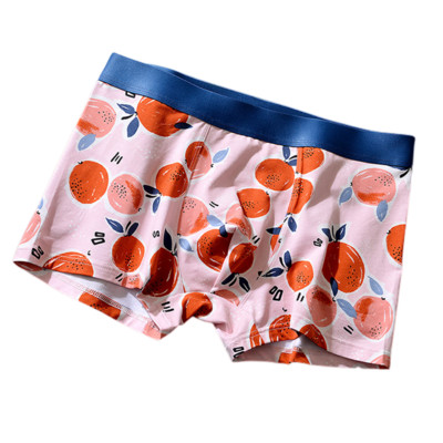 Ανδρικά εσώρουχα Ενδιαφέρουσα εκτύπωση Boxer για Άντρες Μαλακά άνετα εσώρουχα Ανδρικά εσώρουχα Αναπνεύσιμα μπόξερ  Boxer Homme