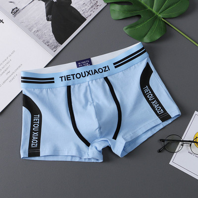 ANDERSON TALISCA brändi puuvillane uus aluspesu meeste Boxer Para Hombre mees peenise meeste bokserid Cuecas Masculina bokserid Homme M-3XL