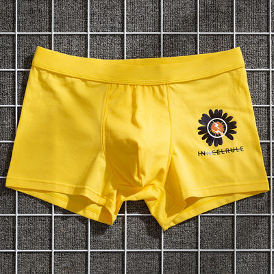 Donje rublje Muške gaće Pamučne muške gaćice Boksačice s printom na koru Muške modne bokserice Breathabl Boxer za muškarce Poklon